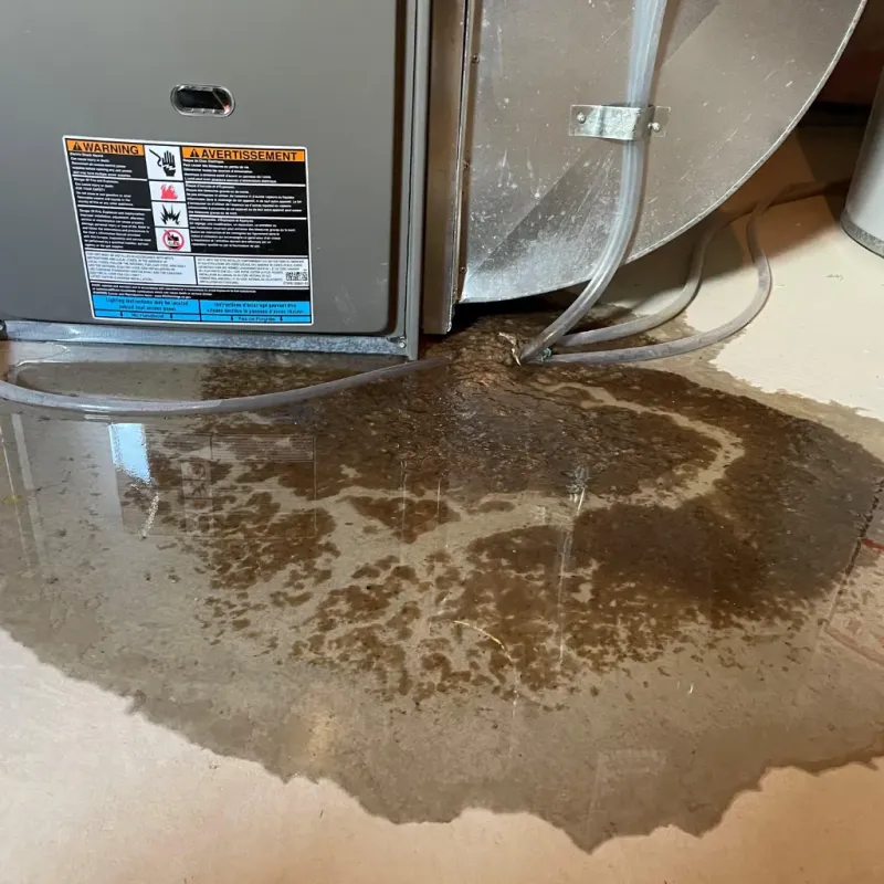 Appliance Leak Cleanup in Gifford, FL